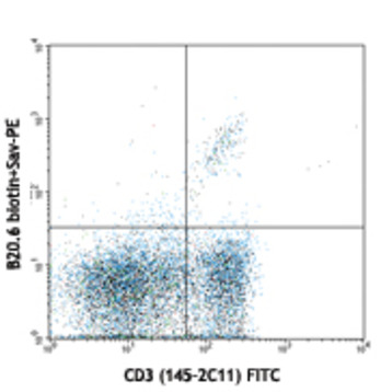 Biotin anti-mouse TCR Vbeta2