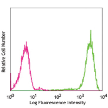 Biotin anti-mouse FcepsilonRIalpha