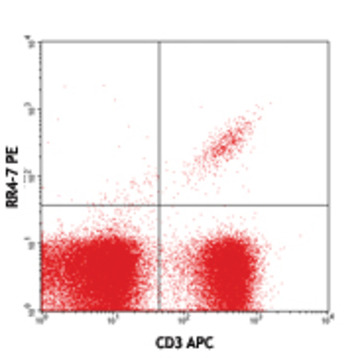 PE anti-mouse TCR Vbeta6