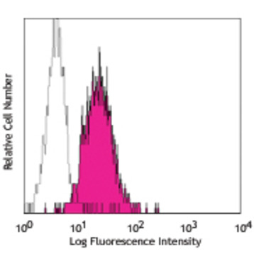 PE anti-human IFN-gamma R beta chain