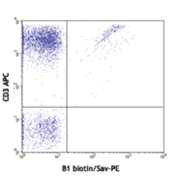 Biotin anti-human TCR gamma/delta