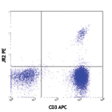 PE anti-human TCR Vbeta8