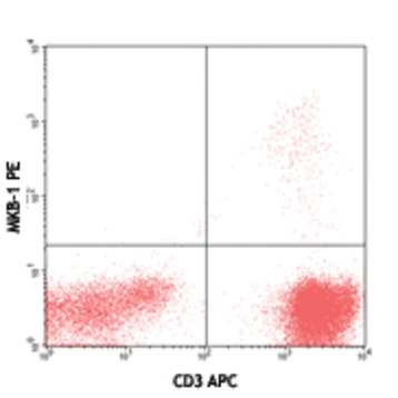 PE anti-human TCR Vbeta9