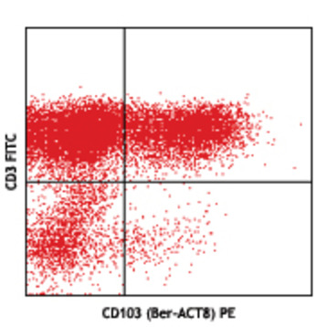 PE anti-human CD103 (Integrin alphaE)