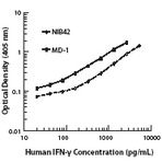 Biotin anti-human IFN-gamma