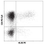 PE anti-human IFN-gamma