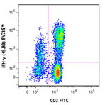 Brilliant Violet 785(TM) anti-human IFN-gamma