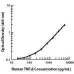 Purified anti-human LT-alpha (TNF-beta)