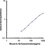 Purified anti-mouse/rat IL-1beta