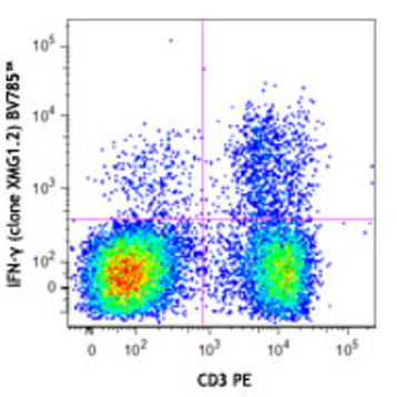 Brilliant Violet 785(TM) anti-mouse IFN-gamma