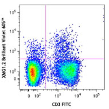 Brilliant Violet 605(TM) anti-mouse IFN-gamma