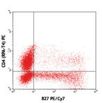 PE/Cy7 anti-human IFN-gamma