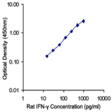 Purified anti-rat IFN-gamma