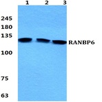 Bs5882_wb