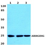 Bs5899_wb