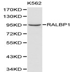 Bs6171_wb