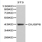 Bs6183_wb