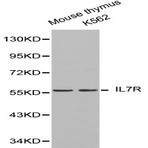 Bs6272_wb