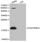 Histone H3 (Tri-Methyl K27) pAb