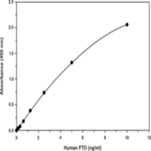 FTO (intracellular; human) EIA Kit