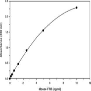 FTO (intracellular; mouse) EIA Kit