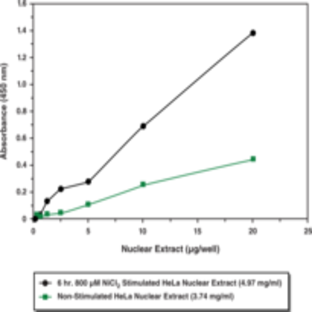 p53 Transcription Factor Assay Kit