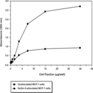 p53 Designer Transcription Factor Assay Kit