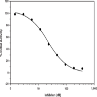 BACE Inhibitor Screening Assay Kit