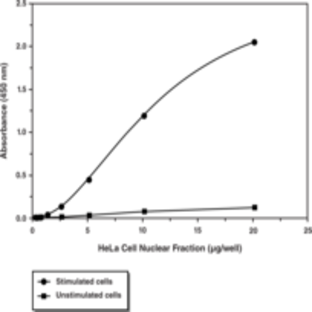 ATF2 (Phospho-Thr69,71) Transcription Factor Assay Kit