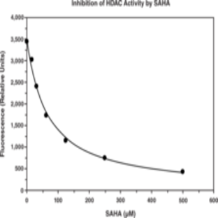 HDAC Cell-Based Activity Assay Kit