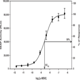 Melanocortin-4 Receptor STEP Reporter Assay Kit (Luminescence)