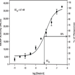 Orexin 1 Receptor STEP Reporter Assay Kit (Luminescence)