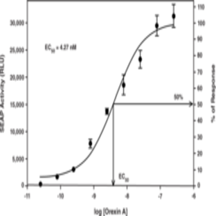 Orexin 2 Receptor STEP Reporter Assay Kit (Luminescence)