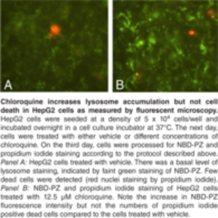 Lysosome/Cytotoxicity Dual Staining Kit