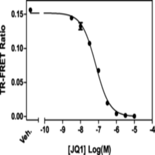 BRD2 bromodomain 2 TR-FRET Assay Kit