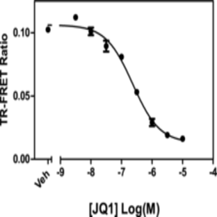 BRD4 bromodomain 1 TR-FRET Assay Kit