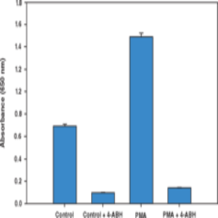 Neutrophil Myeloperoxidase Activity Assay Kit