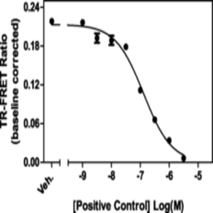 BAZ2B bromodomain TR-FRET Assay Kit