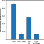 Cathepsin S Cell-Based Assay Kit