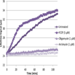 Oxygen Consumption Rate Assay Kit (MitoXpress(R)-Xtra HS Method)