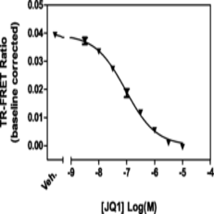 BRD3 bromodomains 1 and 2 TR-FRET Assay Kit