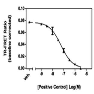 TAF1 bromodomains 1 and 2 TR-FRET Assay Kit