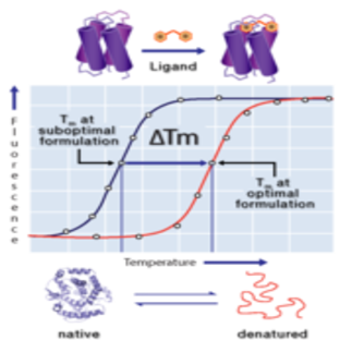 (delta)Tm - Protein Formulation Screening Kit