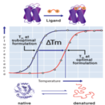 (delta)Tm - Protein Crystallization Screening Kit