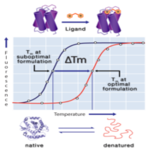 (delta)Tm - Protein Stability QC Screening Kit