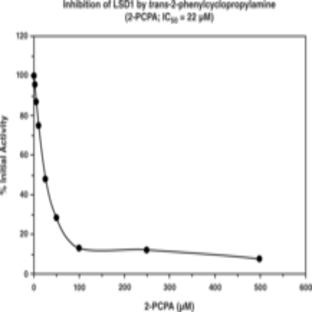 LSD1 Inhibitor Screening Assay Kit