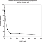 LSD1 Inhibitor Screening Assay Kit