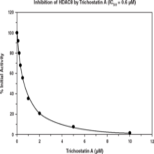 HDAC8 Inhibitor Screening Assay Kit