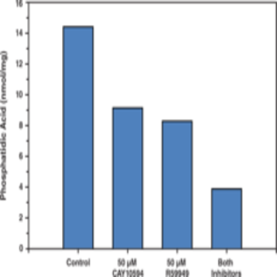 Total Phosphatidic Acid Fluorometric Assay Kit