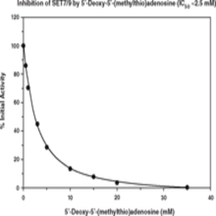 SET7/9 Methyltransferase Inhibitor Screening Assay Kit